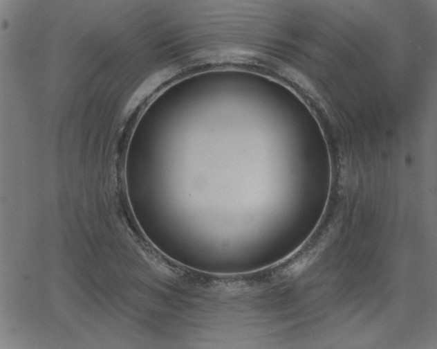 X0000068720978200604281109