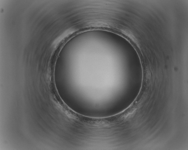 X0000068720979200604281109
