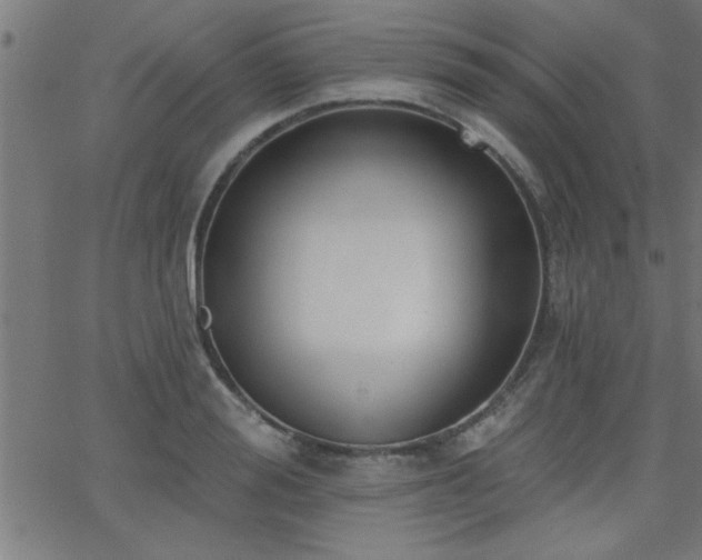 X0000068720988200604281109
