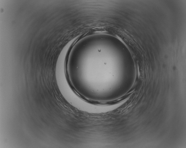 X0000068721010200604281107