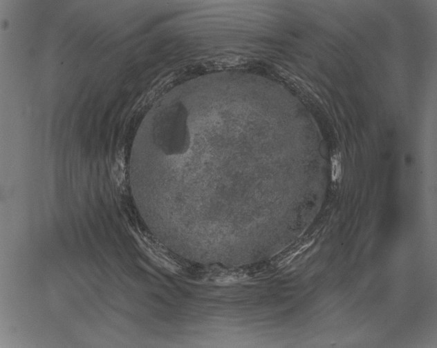 X0000068721011200604281107