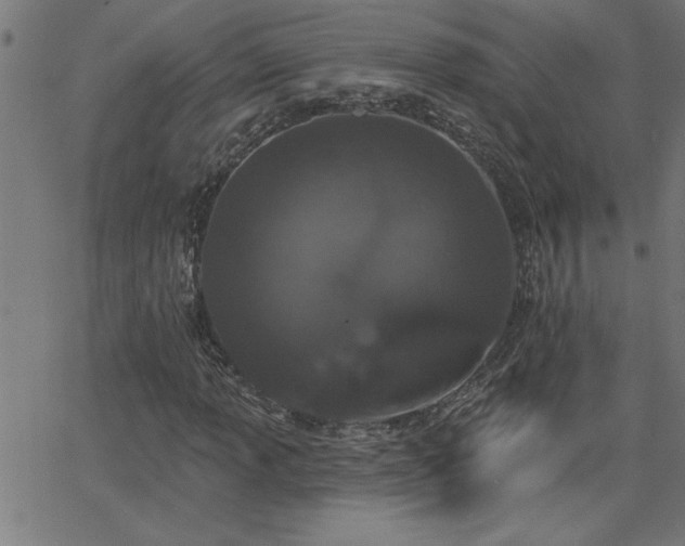 X0000068721013200604281107