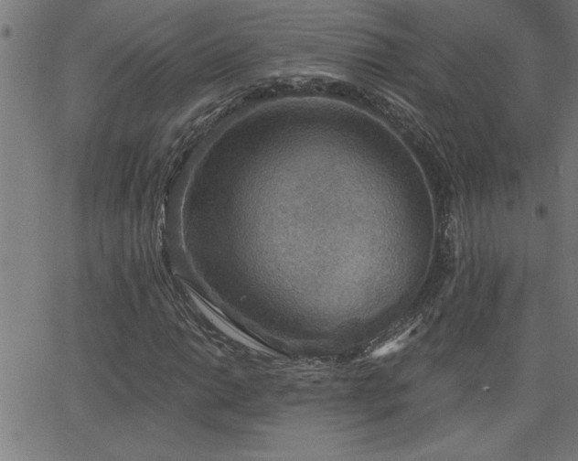 X0000068721014200604281108