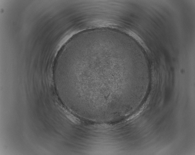 X0000068721023200604281108