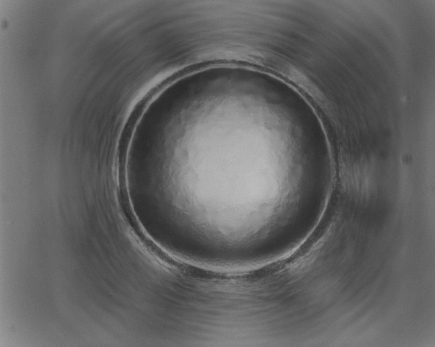 X0000068721028200604281108