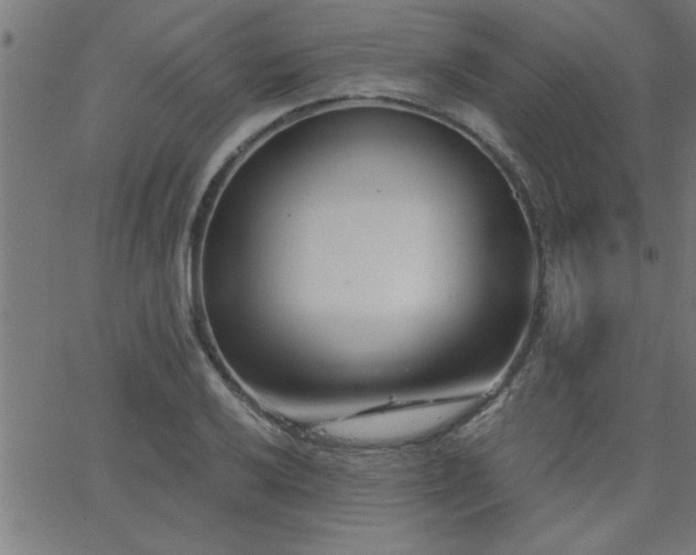 X0000068721032200604281108