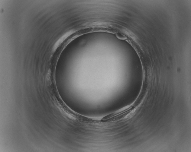 X0000068721066200604281107
