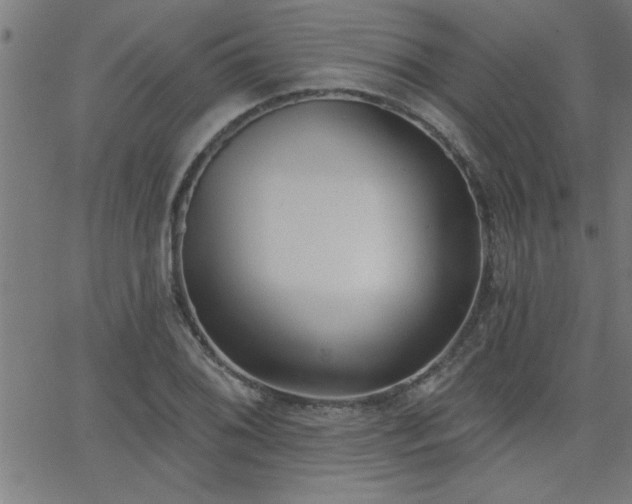 X0000068721076200604281107