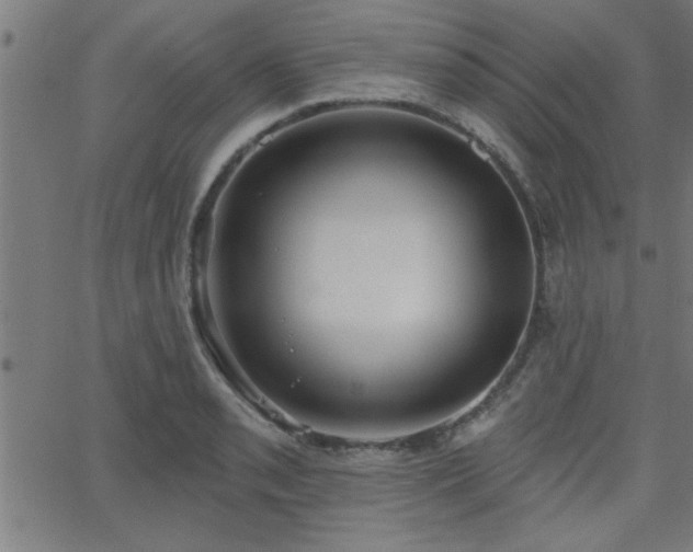 X0000068721085200604281107