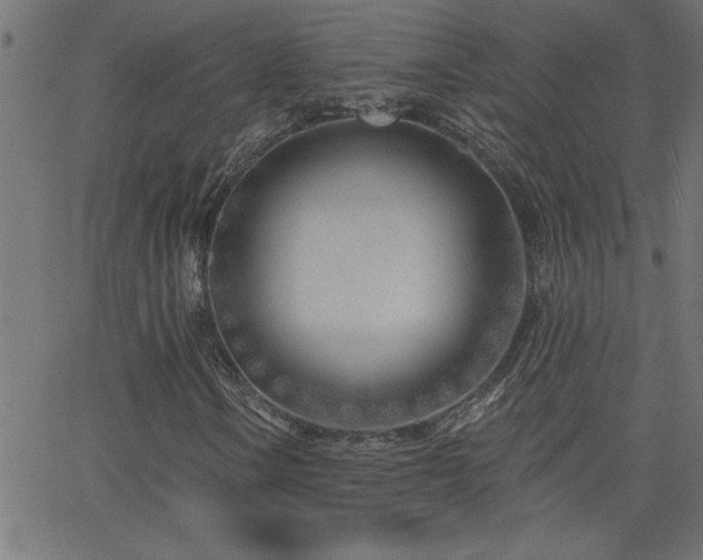 X0000068721106200604281106