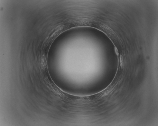 X0000068721107200604281106