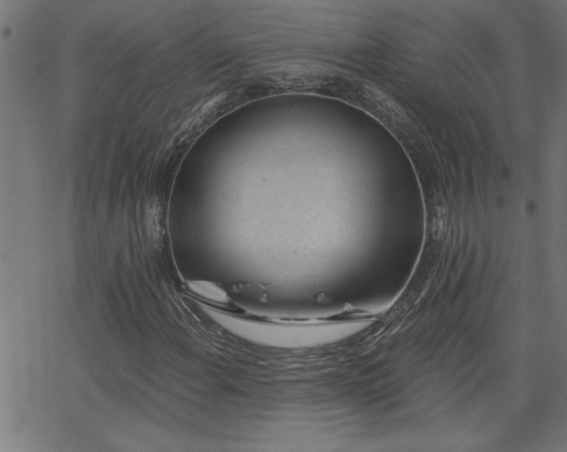 X0000068721108200604281106