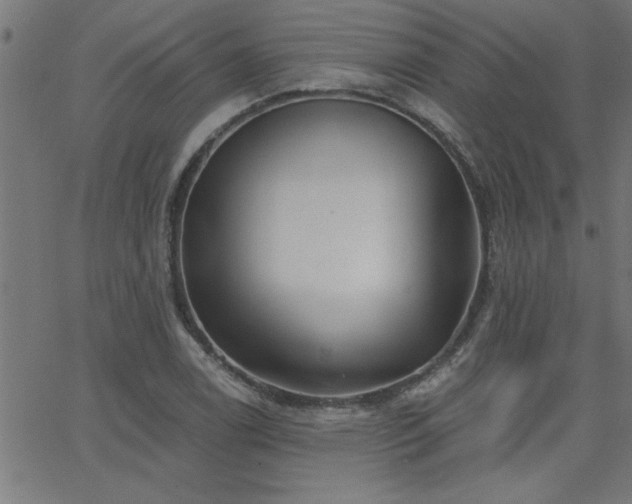 X0000068721122200604281106