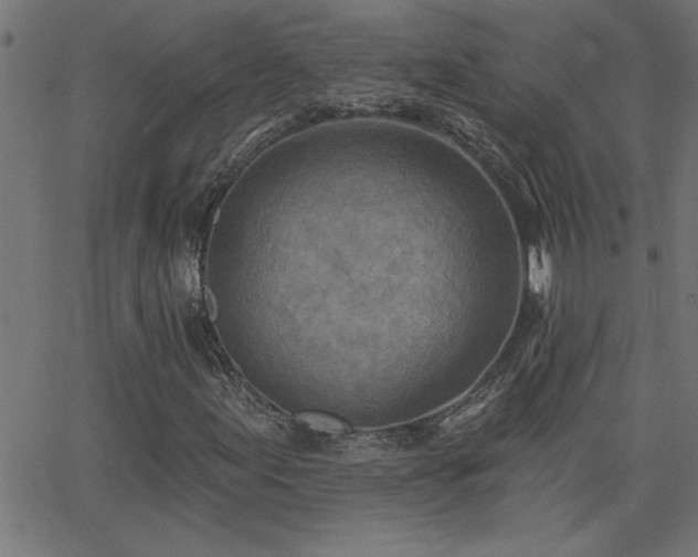 X0000068721155200604281106