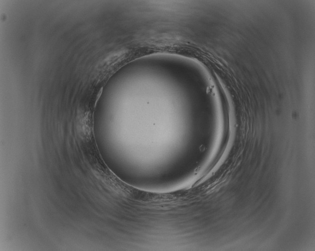 X0000068721156200604281106