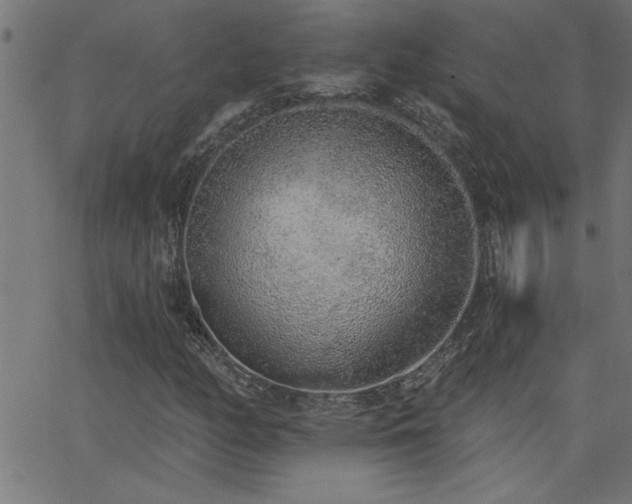 X0000068721158200604281106