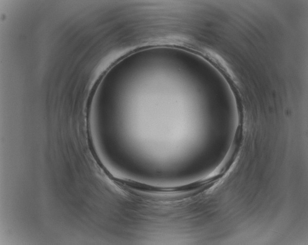 X0000068721184200604281105