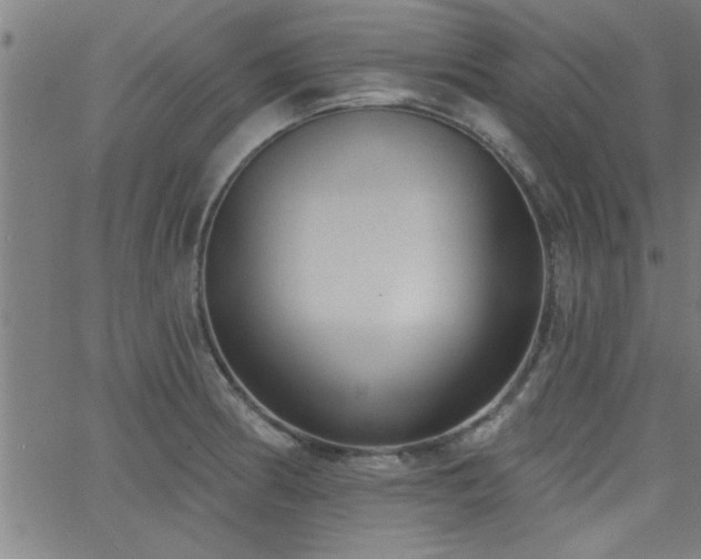 X0000068721186200604281105
