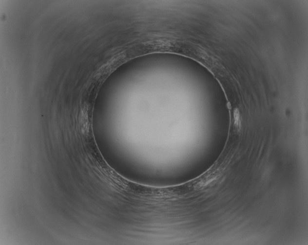 X0000068721203200604281104