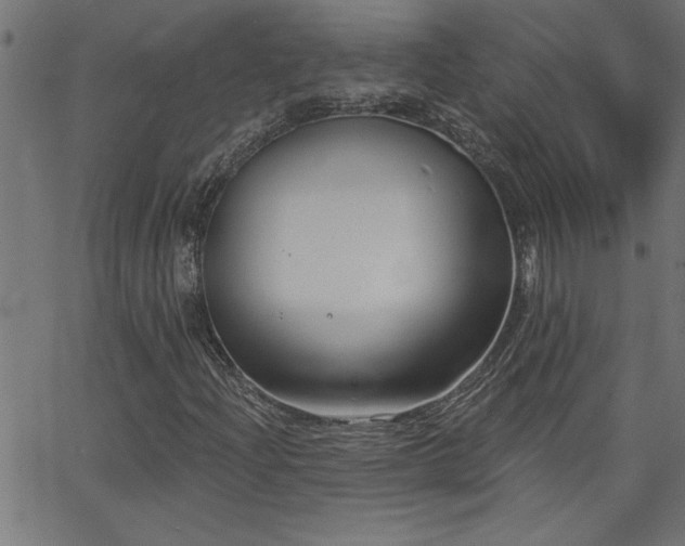 X0000068721204200604281104