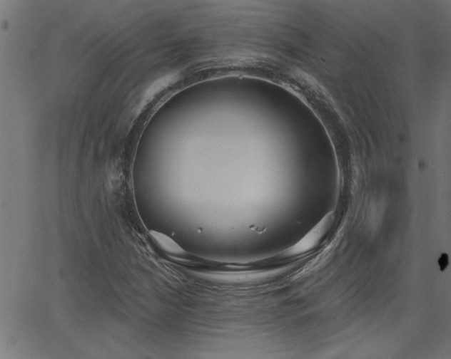 X0000068721210200604281104