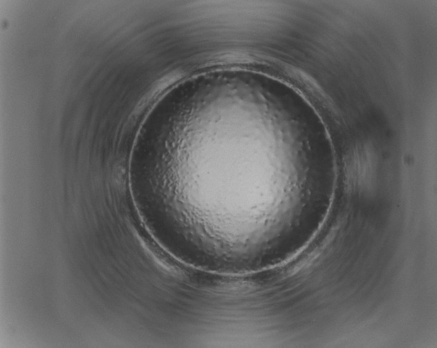 X0000068721225200604281105