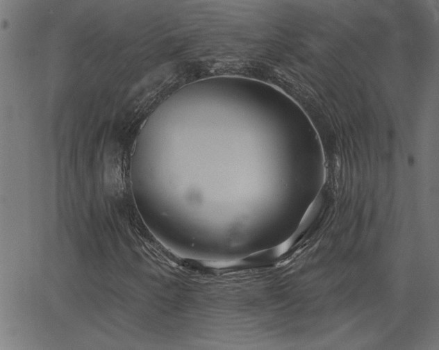 X0000068721250200604281104