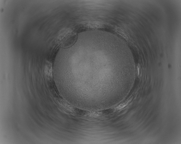 X0000068721251200604281104