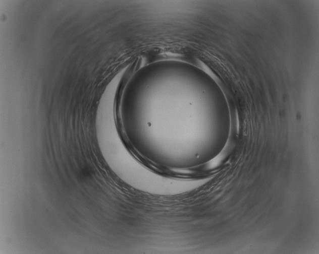 X0000068721298200604281102