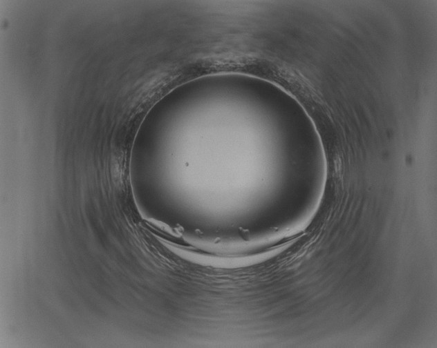 X0000068721300200604281102