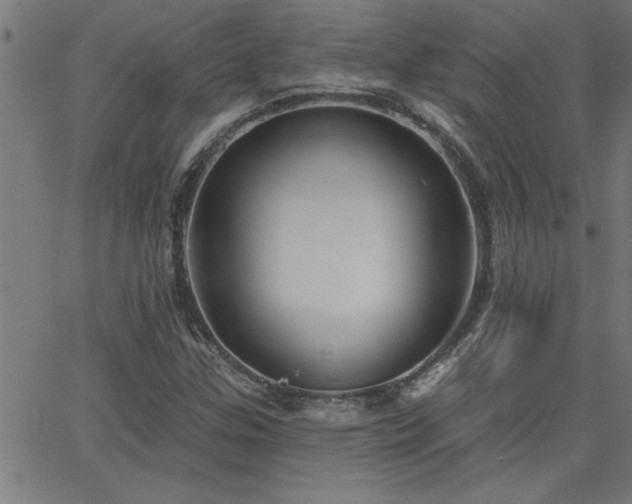 X0000068721307200604281103