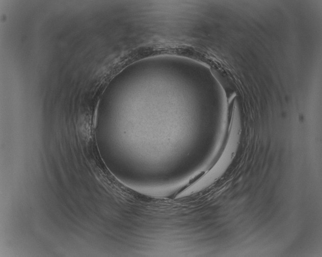 X0000068721348200604281102