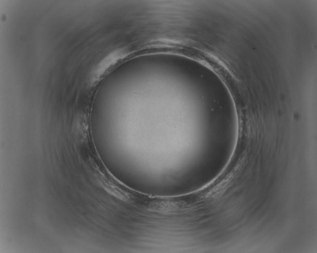X0000068721355200604281102