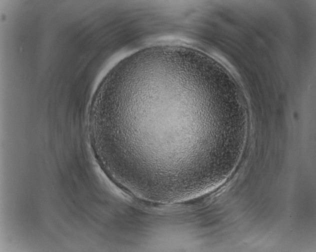 X0000068721392200604281102