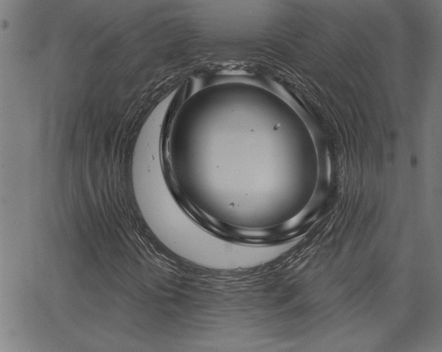 X0000068721394200604281101