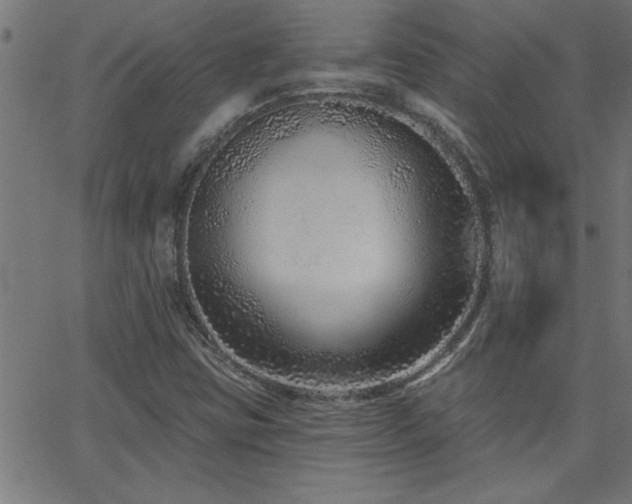 X0000068721403200604281101