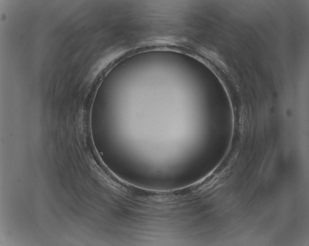 X0000068721404200604281101