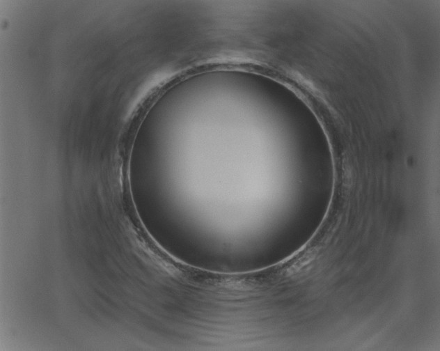 X0000068721408200604281101