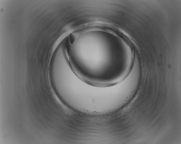X0000068721418200604281101