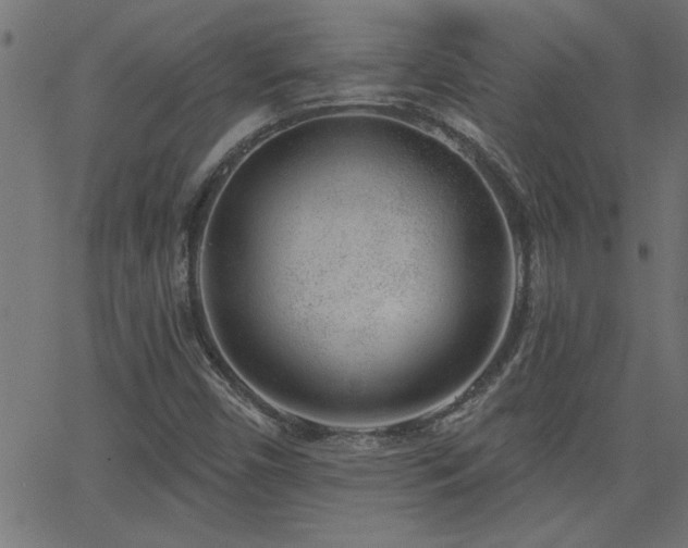 X0000068721450200604281101