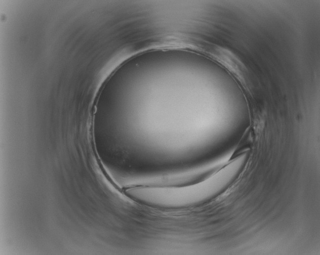 X0000068721484200604281100