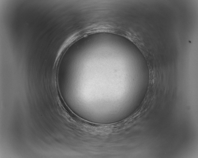 X0000068720004200605010945