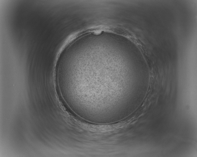 X0000068720006200605010945