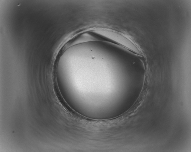 X0000068720007200605010945