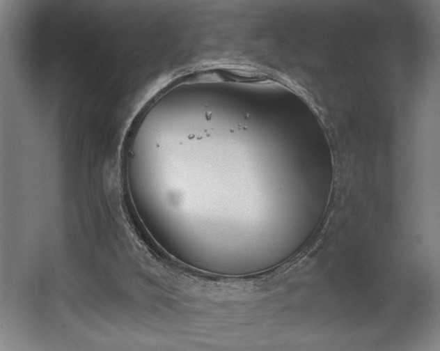 X0000068720008200605010945