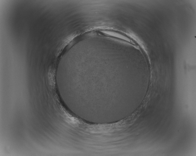 X0000068720009200605010945