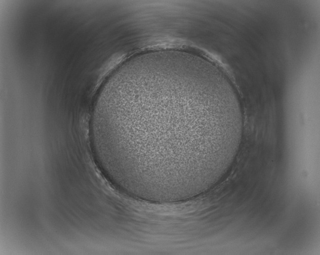 X0000068720010200605010945