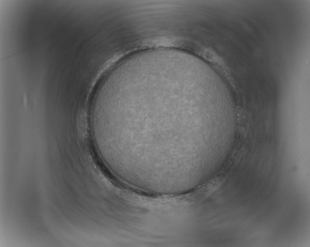 X0000068720012200605010945