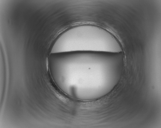 X0000068720013200605010945