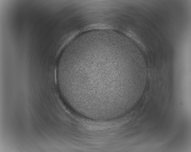 X0000068720014200605010945